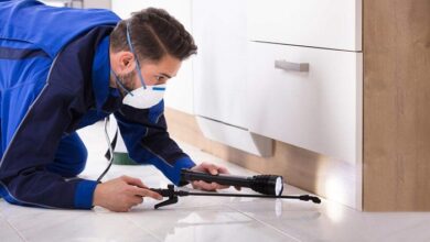 Selecting the Right Pest Control Service for Your Needs