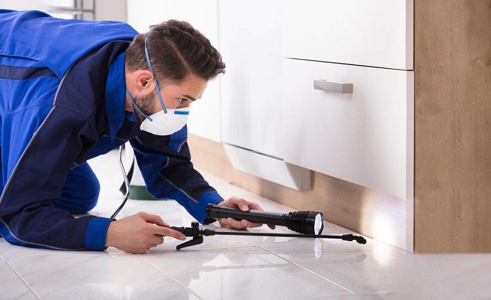 Selecting the Right Pest Control Service for Your Needs